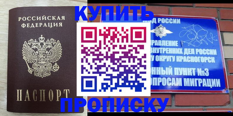 прописка гарантия в Гудермесе